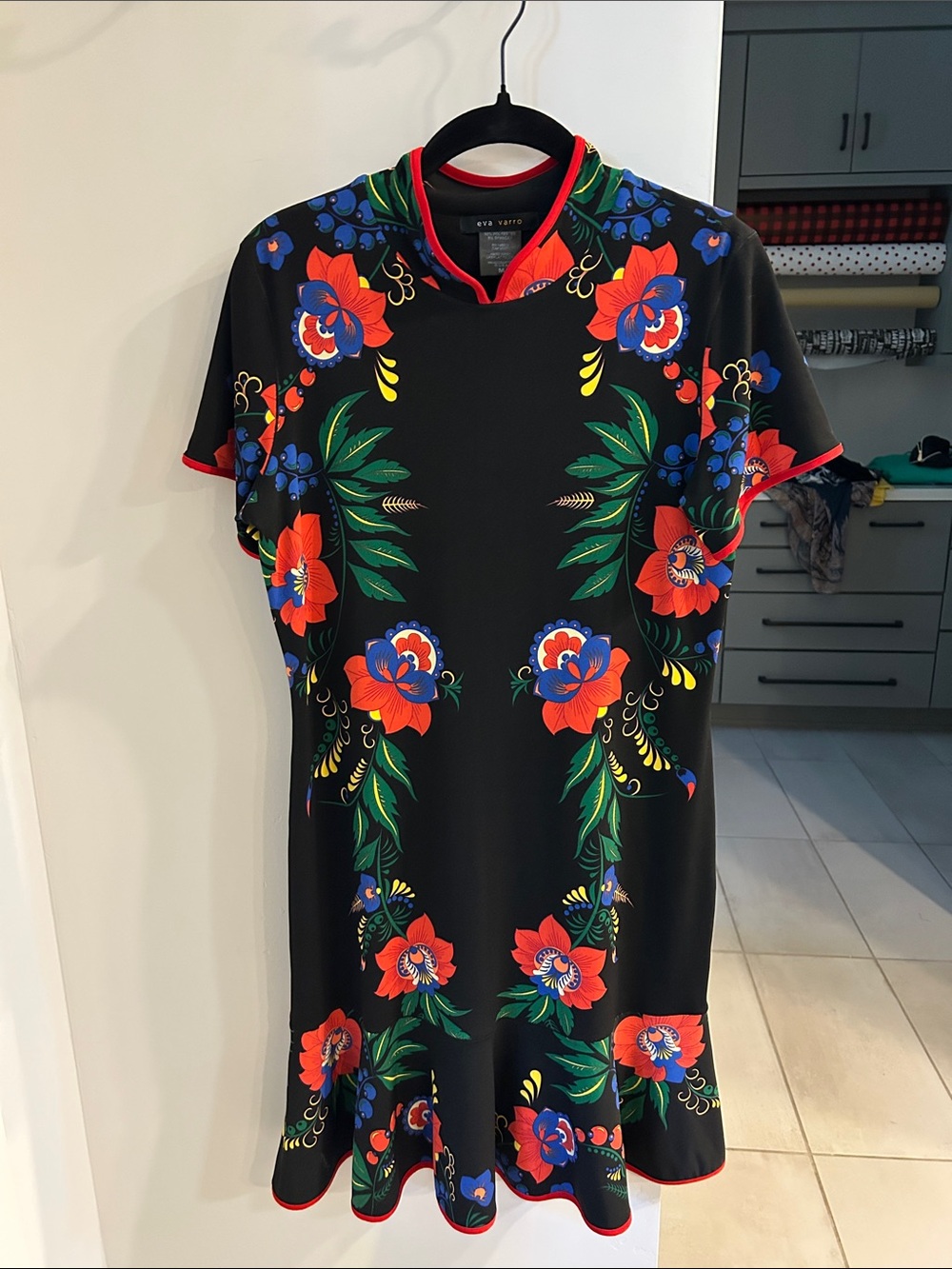 eva varro Black Mini Dress with Red Floral & Blue Accents